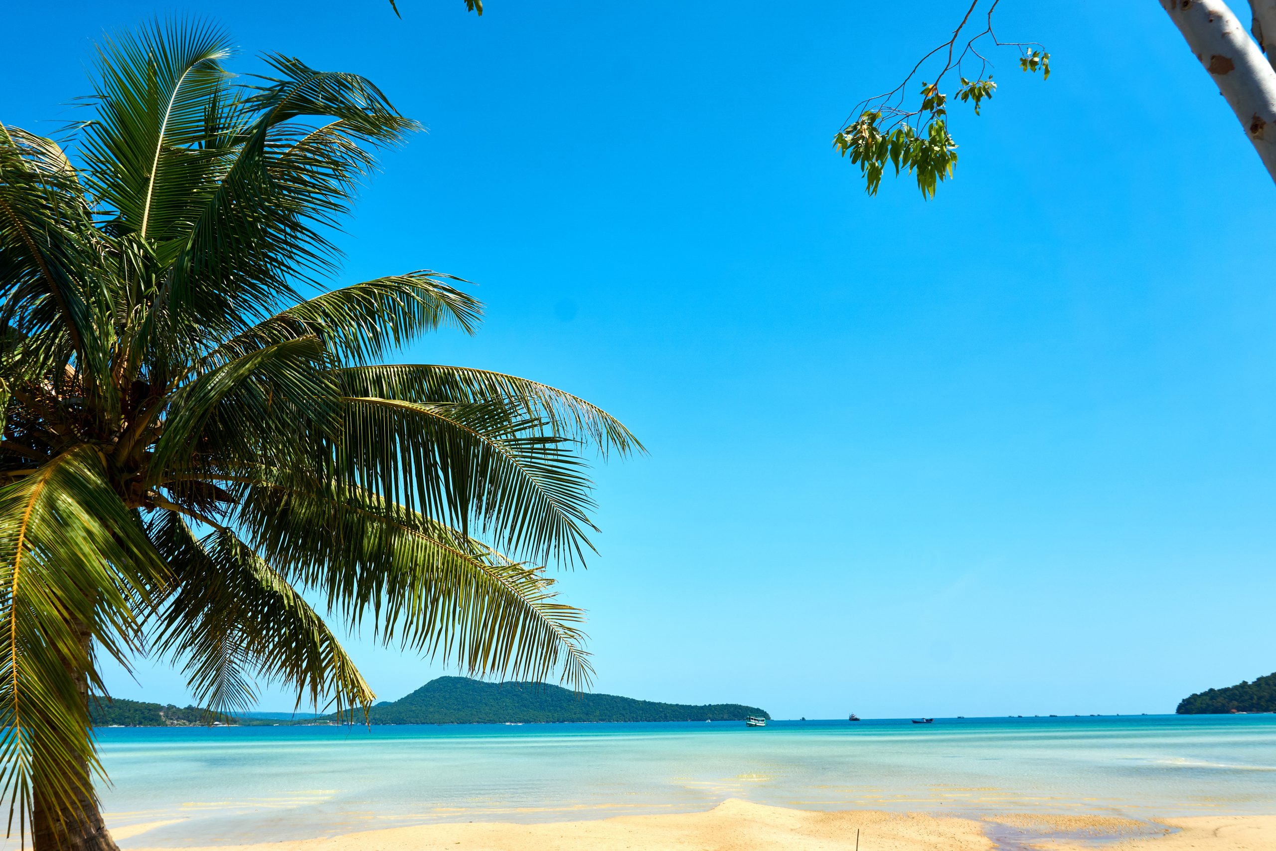 View of coconut palm, beach and offshore Island in Cambodia