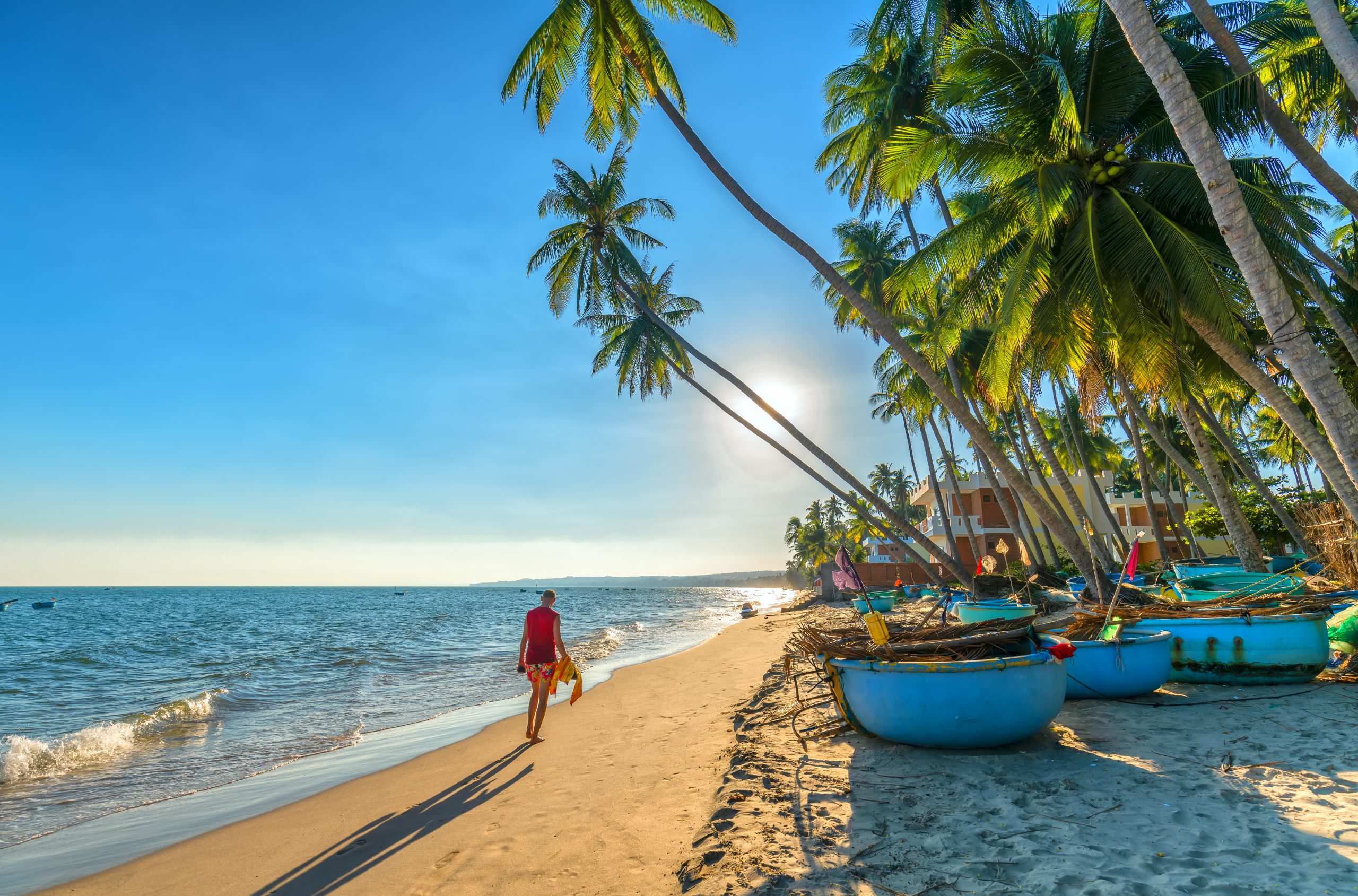 Beach scene with basket boats and palm trees, Vietnam