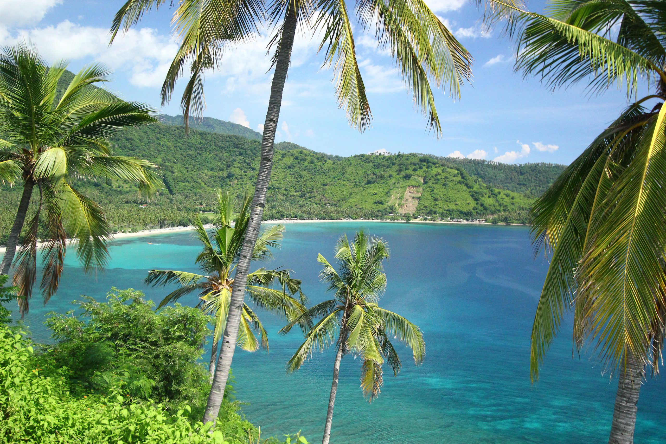 View of a Lombok beach through close up coconut trees.