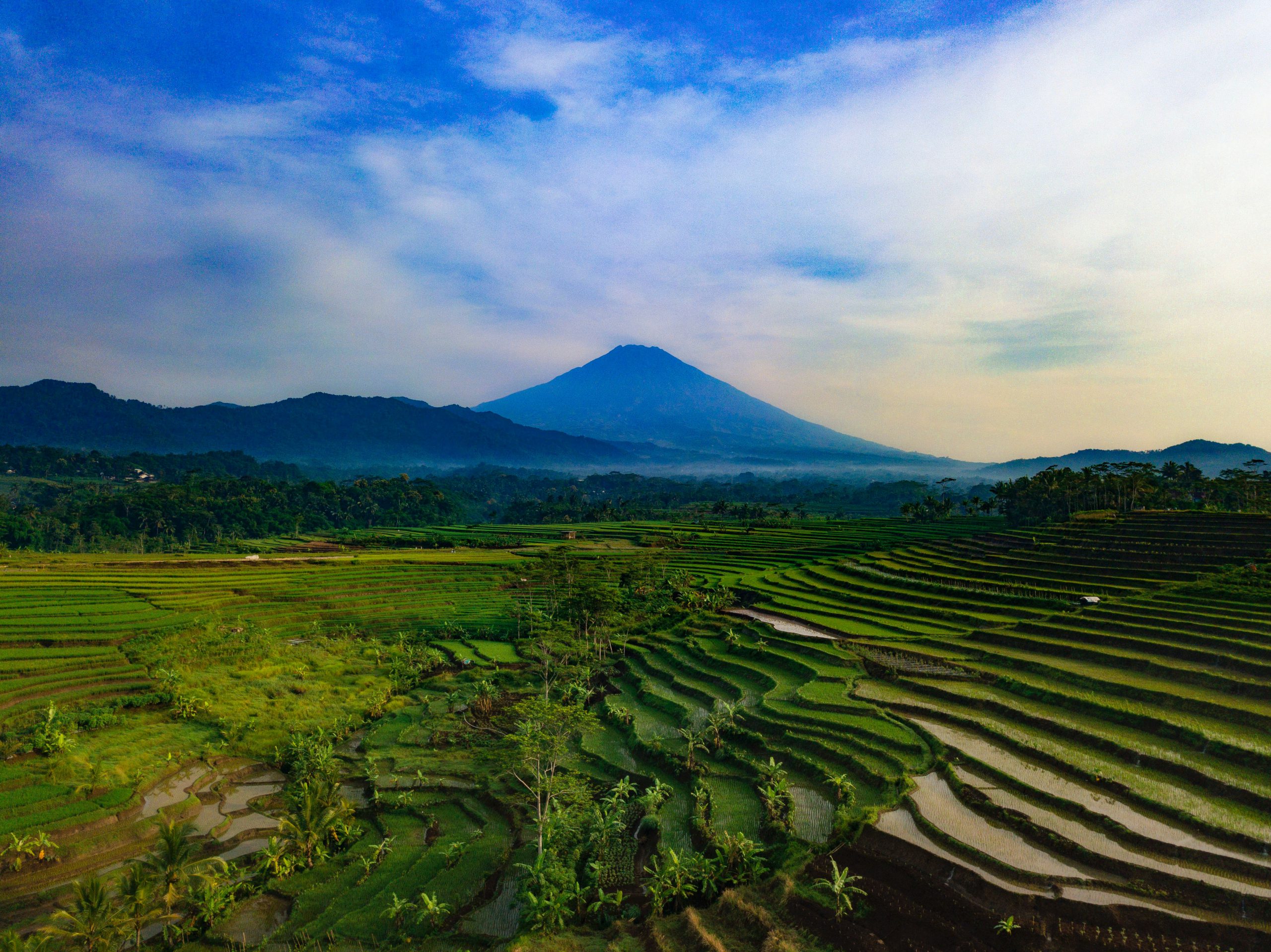 Magelang scene, volcano and rice fields.