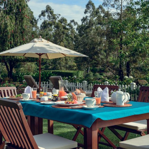 Garden dining and sun loungers, Stafford Bungalow