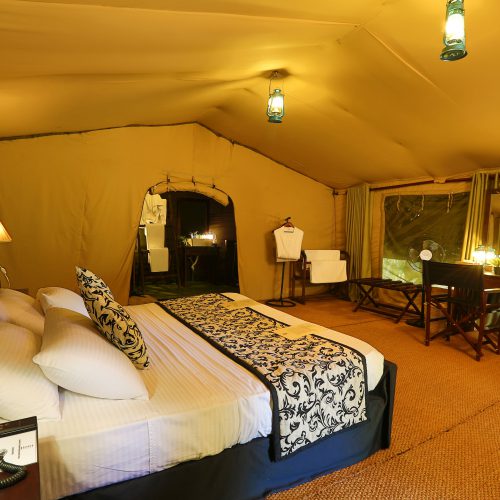 Luxury Tent, Leopard Trails Wilpattu