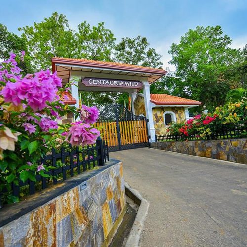 Entrance gate and driveway to Centauria Wild